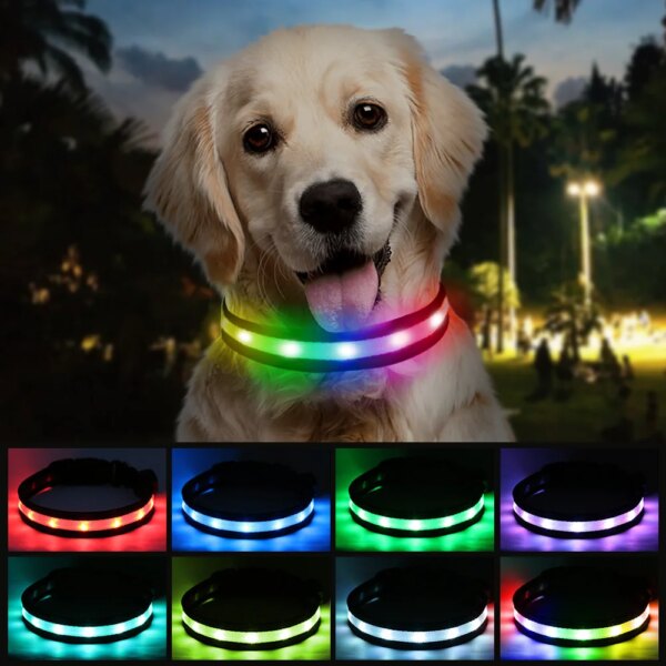 1 pc,Light up Dog Collar for Night Walking - LED Dog Collar Light Rechargeable Color Changing, Glow in The Dark Dog Collars