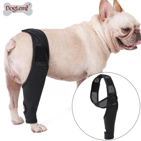 Dog Knee Pads  Injury Recovery Fixed Support Brace  Pet Protector Pain Relief Feet Cover  Leg Joint Wrap Support Pet Recover