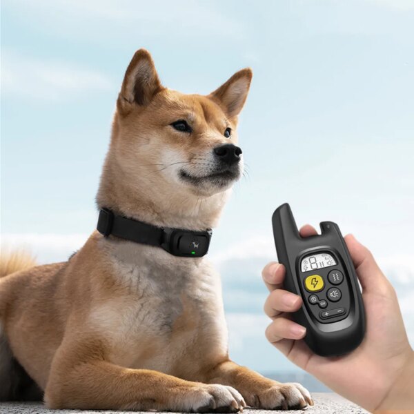 Electric Pet Dog Training Collar Shock Training Collar Electronic Remote Control Waterproof Rechargeable