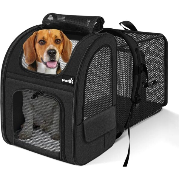 Expandable Cat Backpack with Breathable Mesh for Medium Large Cats  Pet Carrier Backpack, XL-Mesh Window, Black