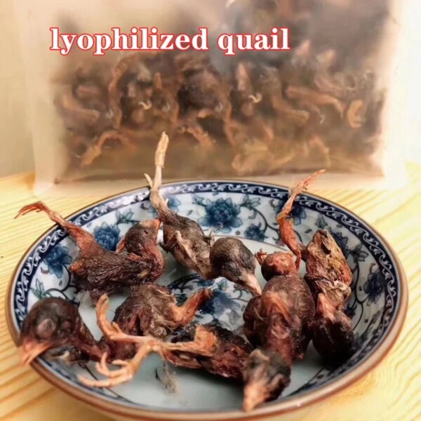 Freeze-dried small quail cat food dog food cat dog food cat dog snacks pet snacks