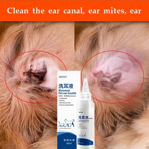 Malassezia otitis media for cats and dogs itching, redness, swelling and anti-inflammatory ear drops