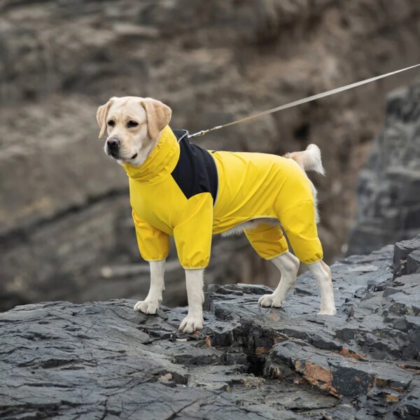 Medium And Large Dog Raincoat Labrador Golden Retriever Shiba Lnu Four Feet Waterproof Dog Clothes Anti Storm Coat Pet Raincoat