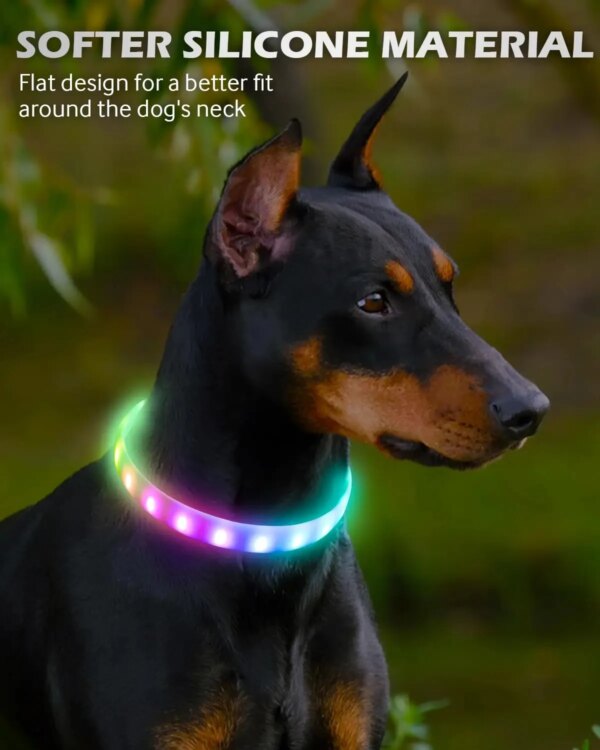 RGB Discolor Glowing Collar For Dogs Large Medium Usb Rechargeable Dog Collar Luminous Led Light Night Safety Pet Accessories