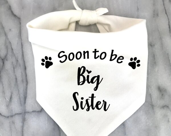 Soon To Be Big Sister Bro Dog Bandana Pregnancy Announcement Photos Shower Gift Gender Reveal Black White Scarf For Pet New Baby