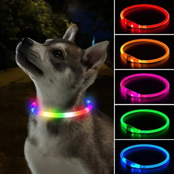 Usb Luminous Dog Cat Collar 3 Modes Glowing Led Light for Loss Prevention LED Dog Collar Dog Accessories